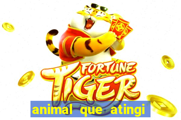 animal que atingi 230 decibeis